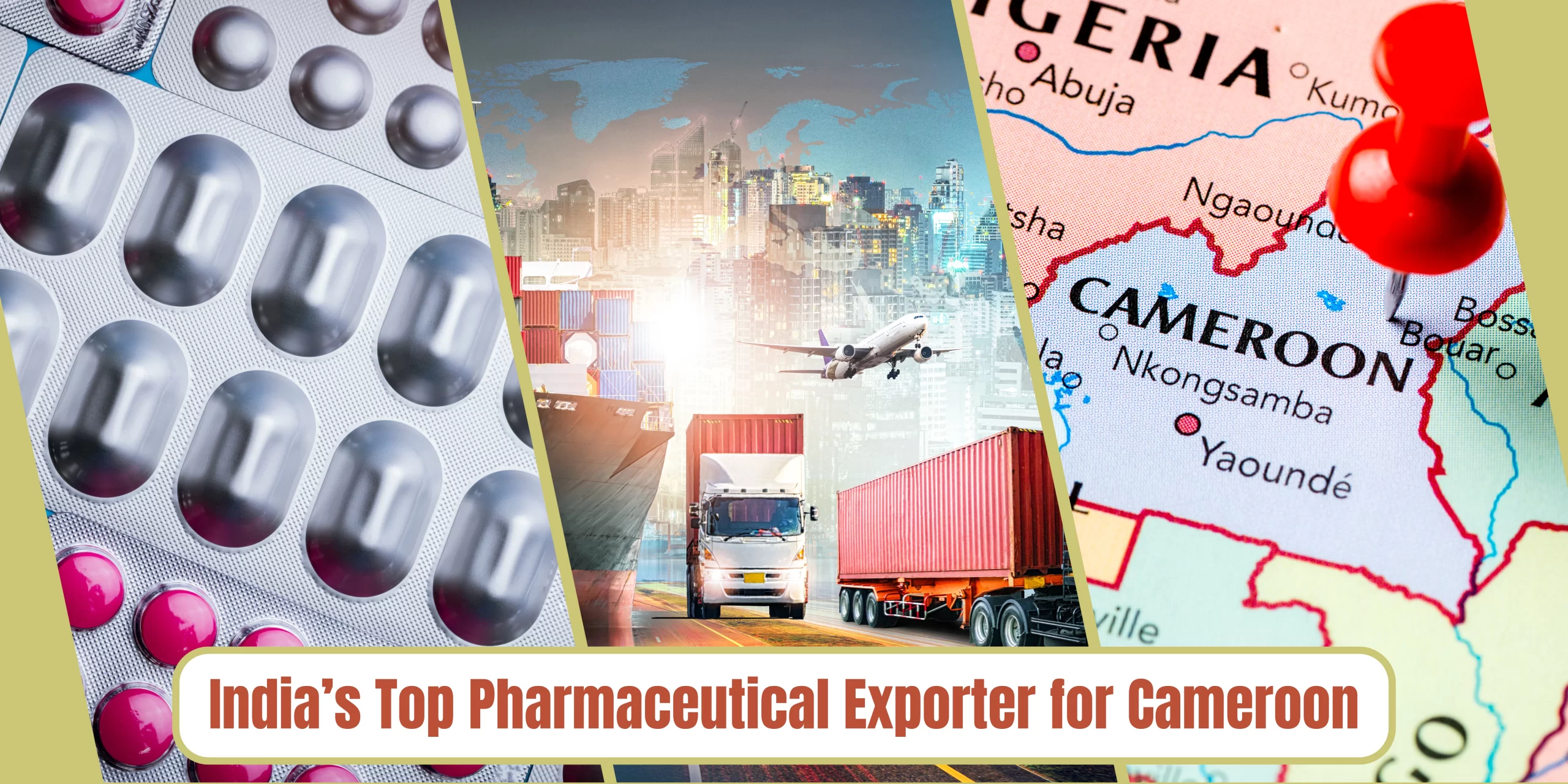 Pharmaceutical Exporter for Cameroon